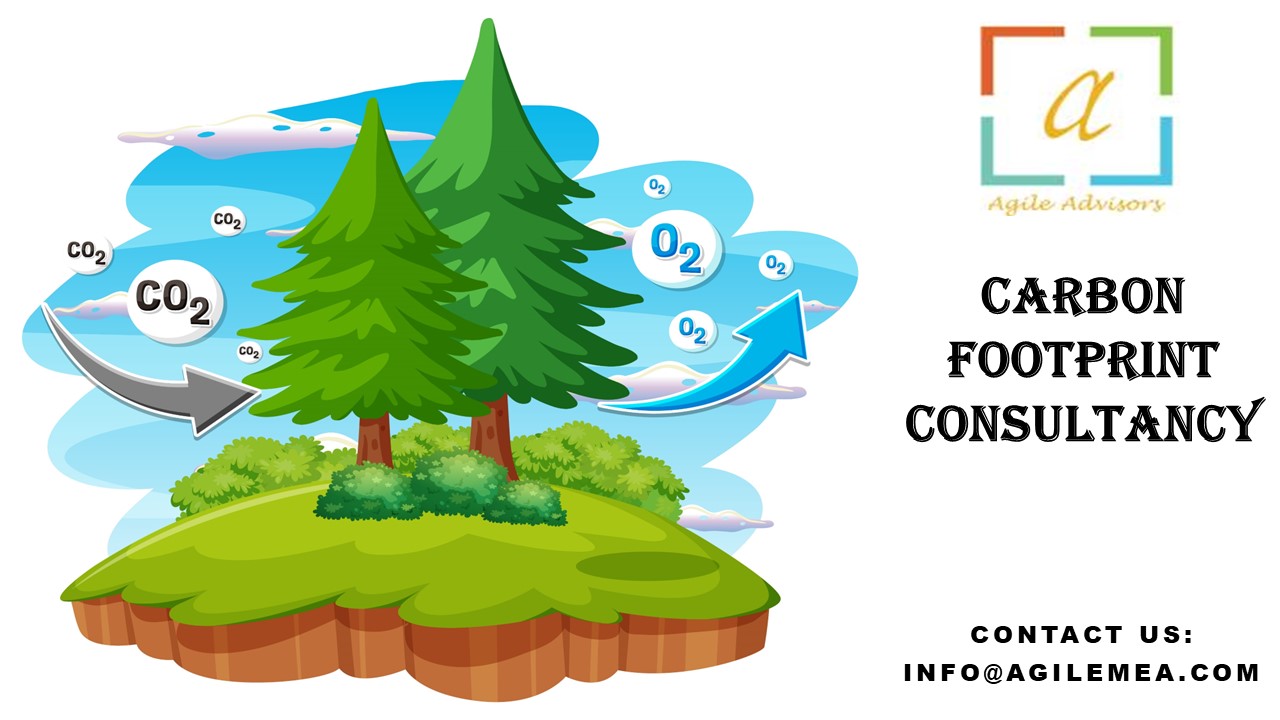 carbon footprint Consultancy