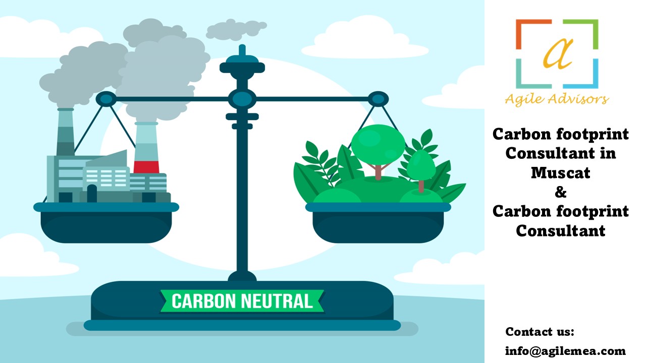Carbon Footprint Consultant