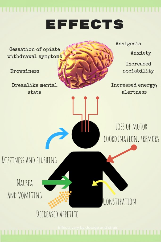 How Kratom Works in the Body