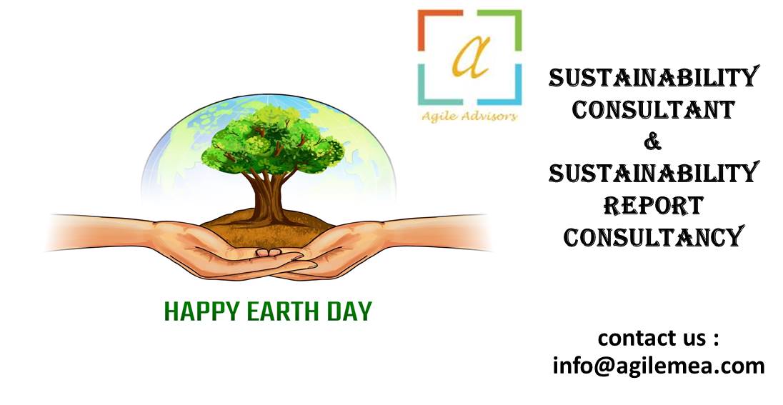 Sustainability report consultancy