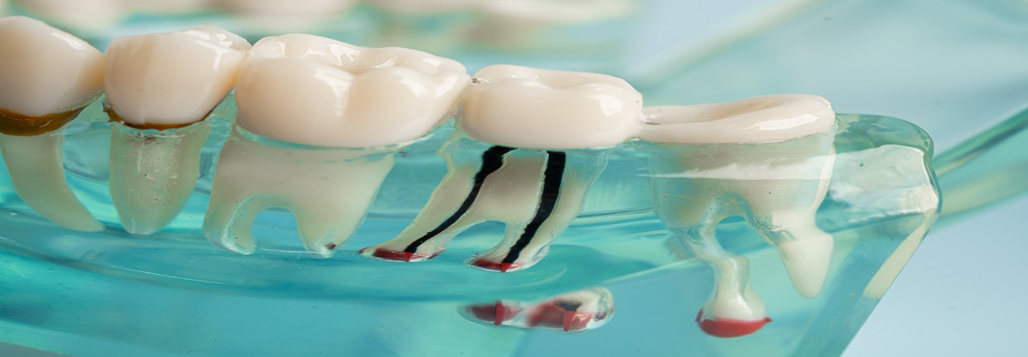 General Dentist Decatur
