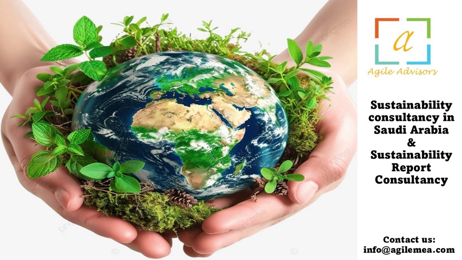 Sustainability Report Consultancy