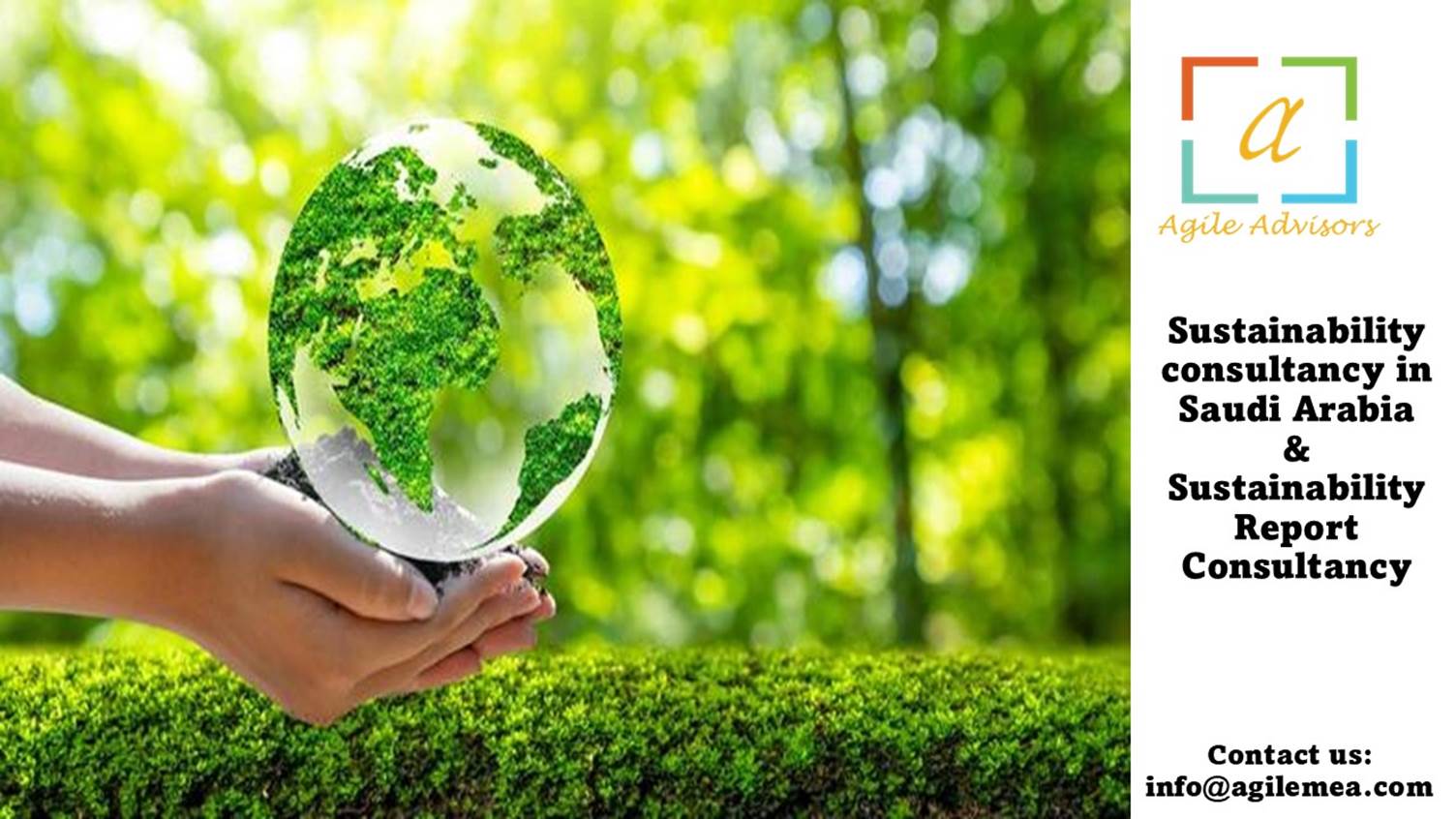 Sustainability Report Consultancy