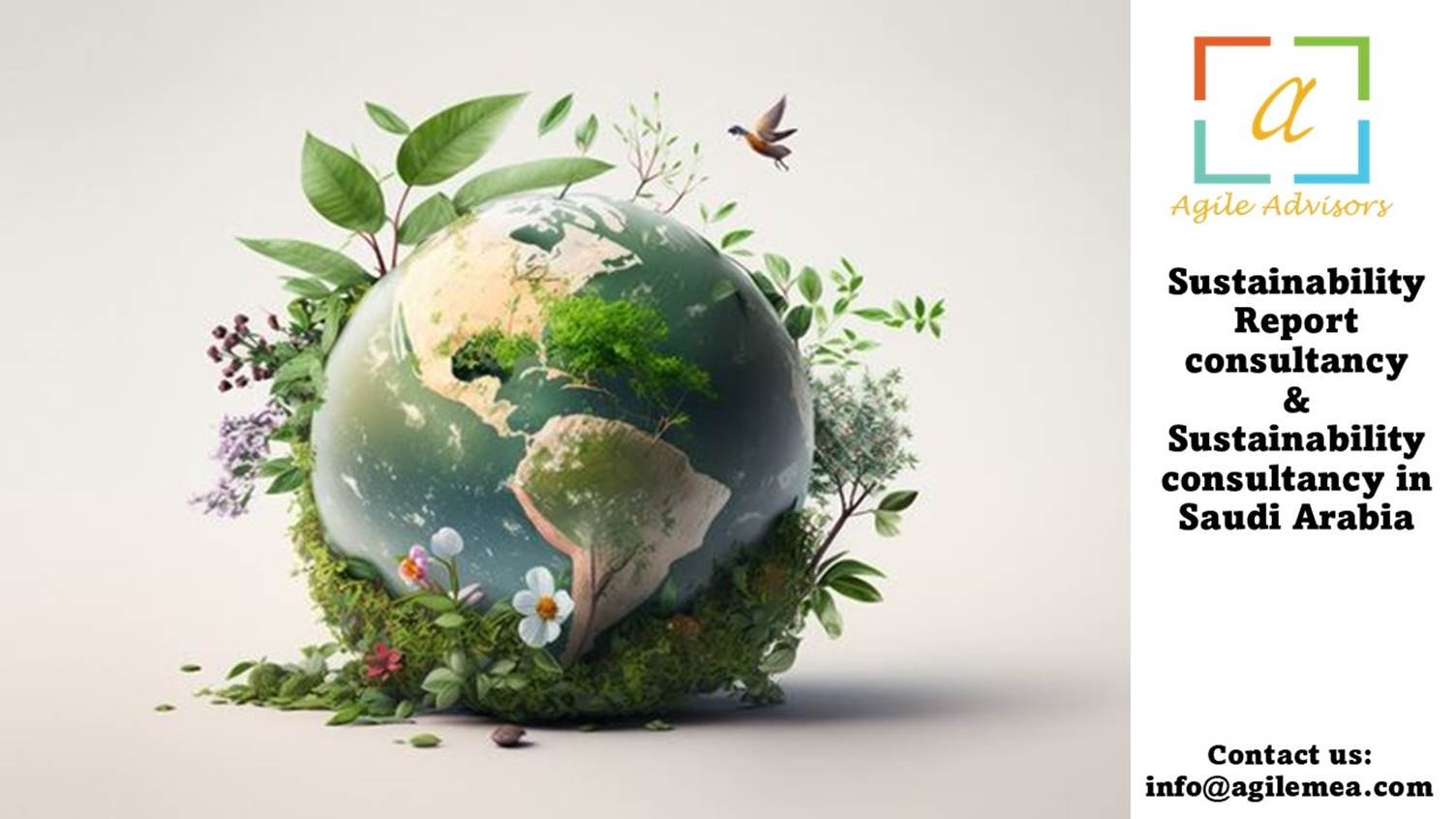 Sustainability Report Consultancy