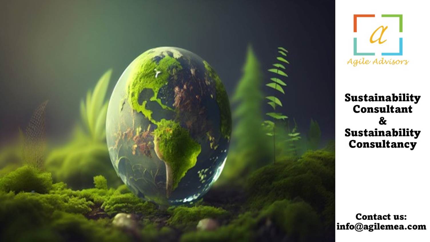 Sustainability Consultant