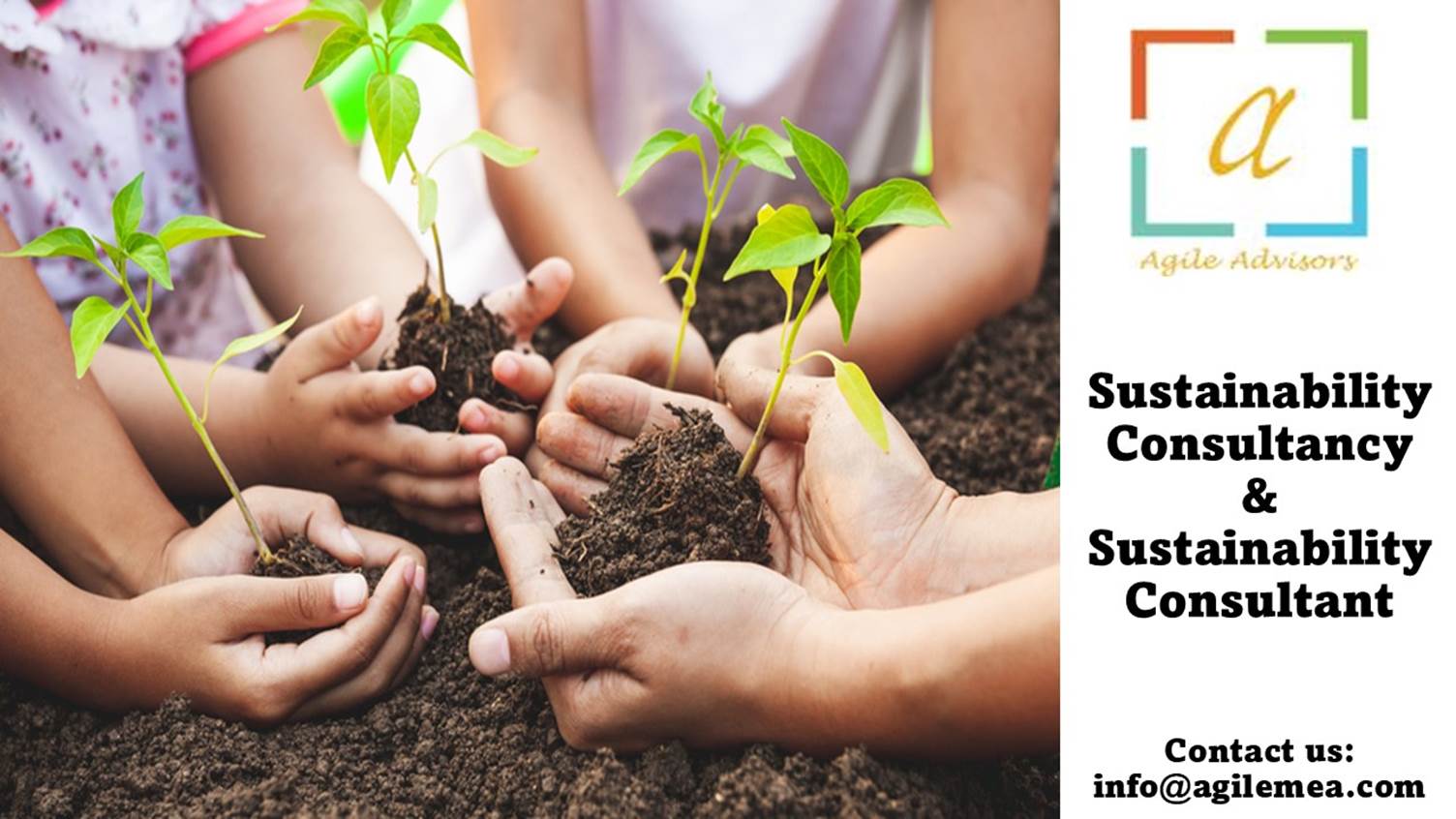 Hands holding dirt and a plantAI-generated content may be incorrect.