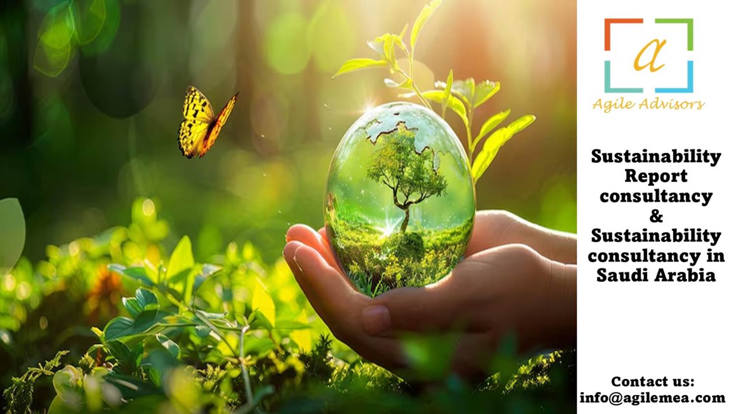 Sustainability Report Consultancy