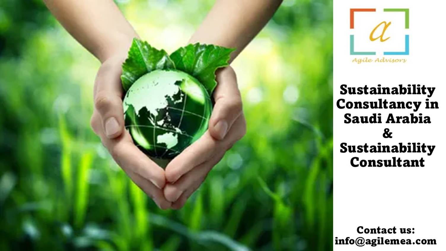 Hands holding a green globe with leaves around itAI-generated content may be incorrect.