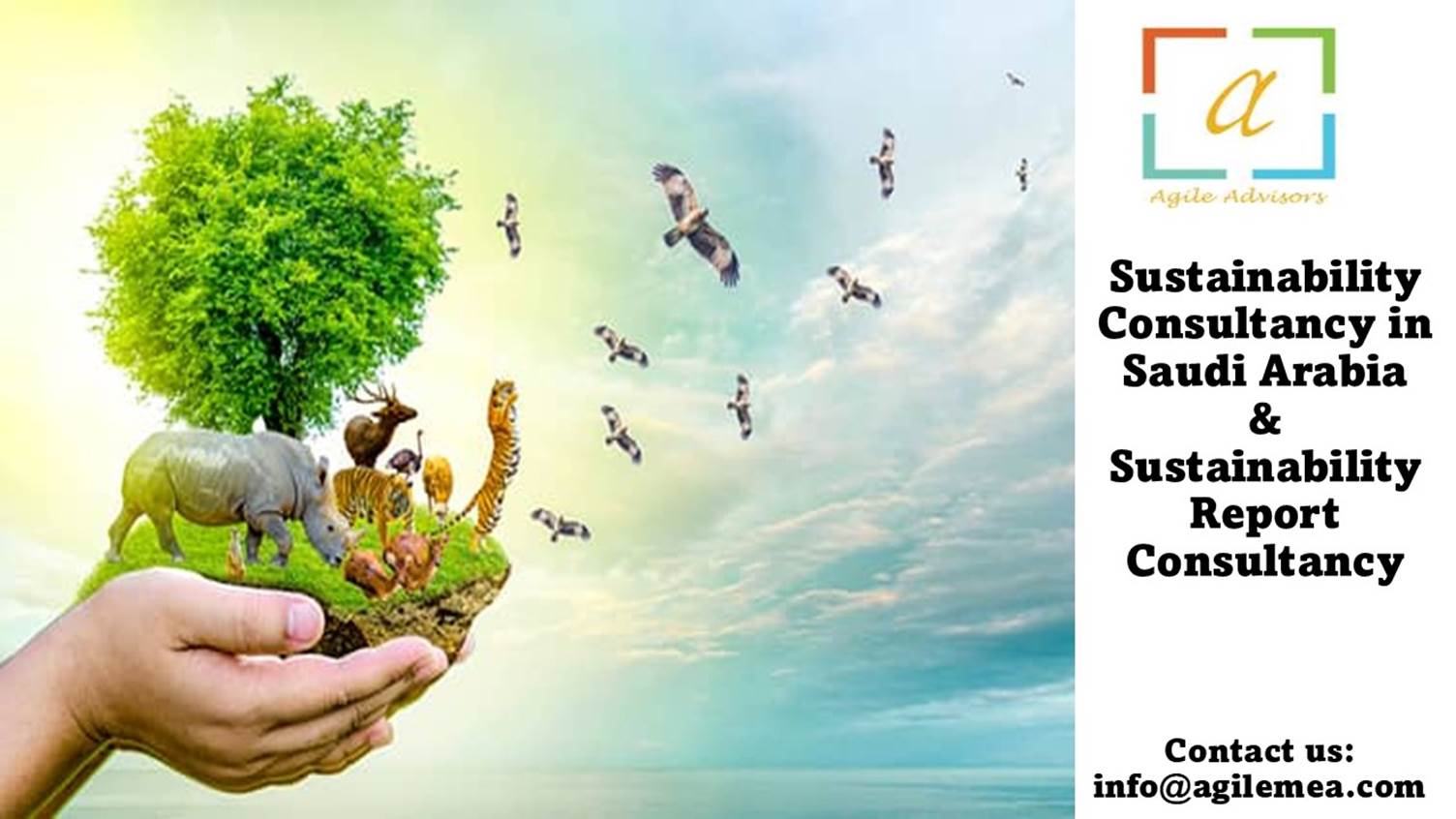A person holding a small island with birds flying in the airAI-generated content may be incorrect.