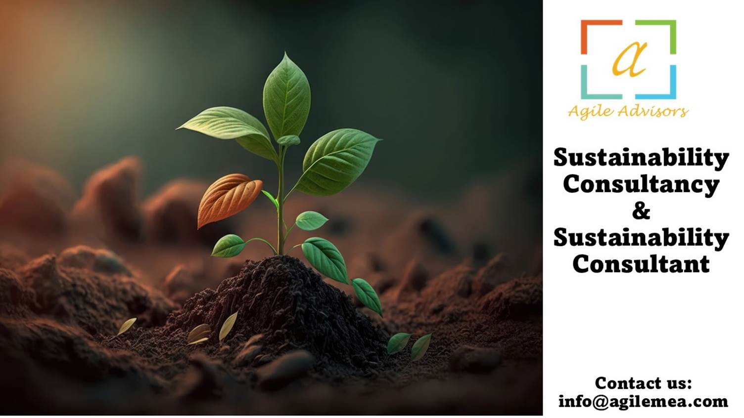 A plant growing out of dirtAI-generated content may be incorrect.