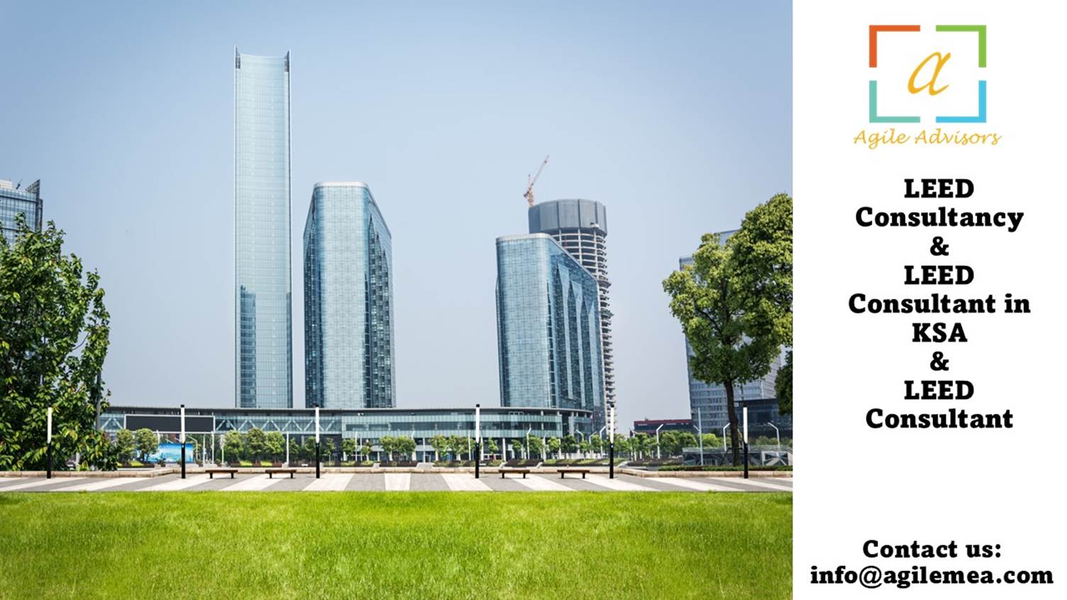 A green lawn with tall buildings in the backgroundAI-generated content may be incorrect.