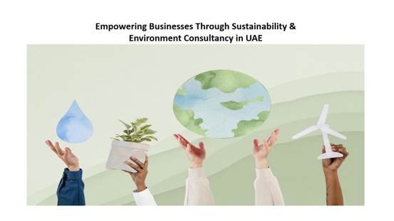 Empowering Businesses Through Sustainability and  Environment Consultancy in UAE