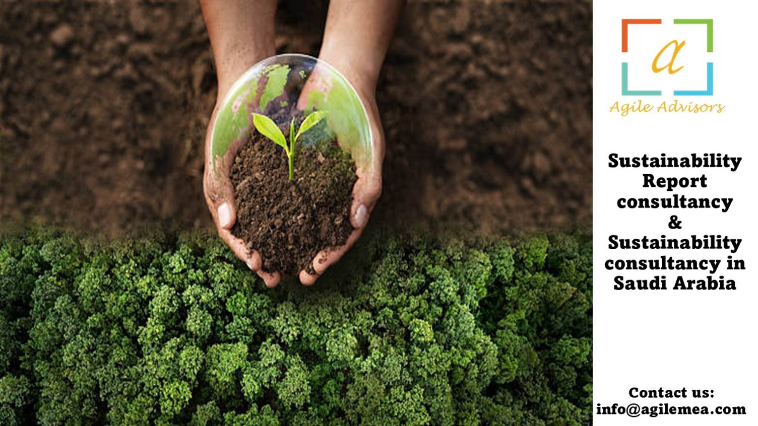 Sustainability Report Consultancy