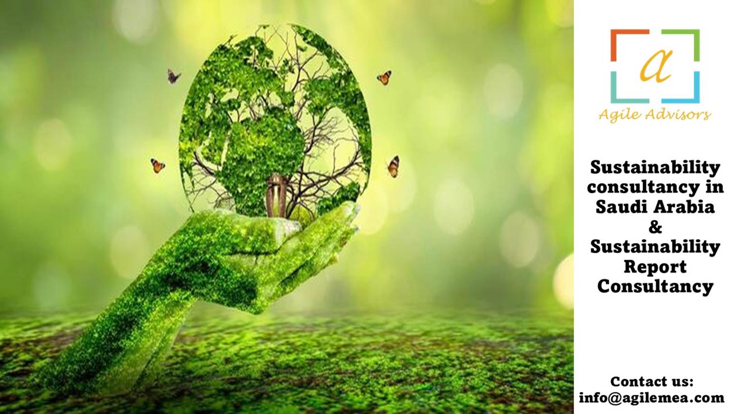 Sustainability report Consultancy