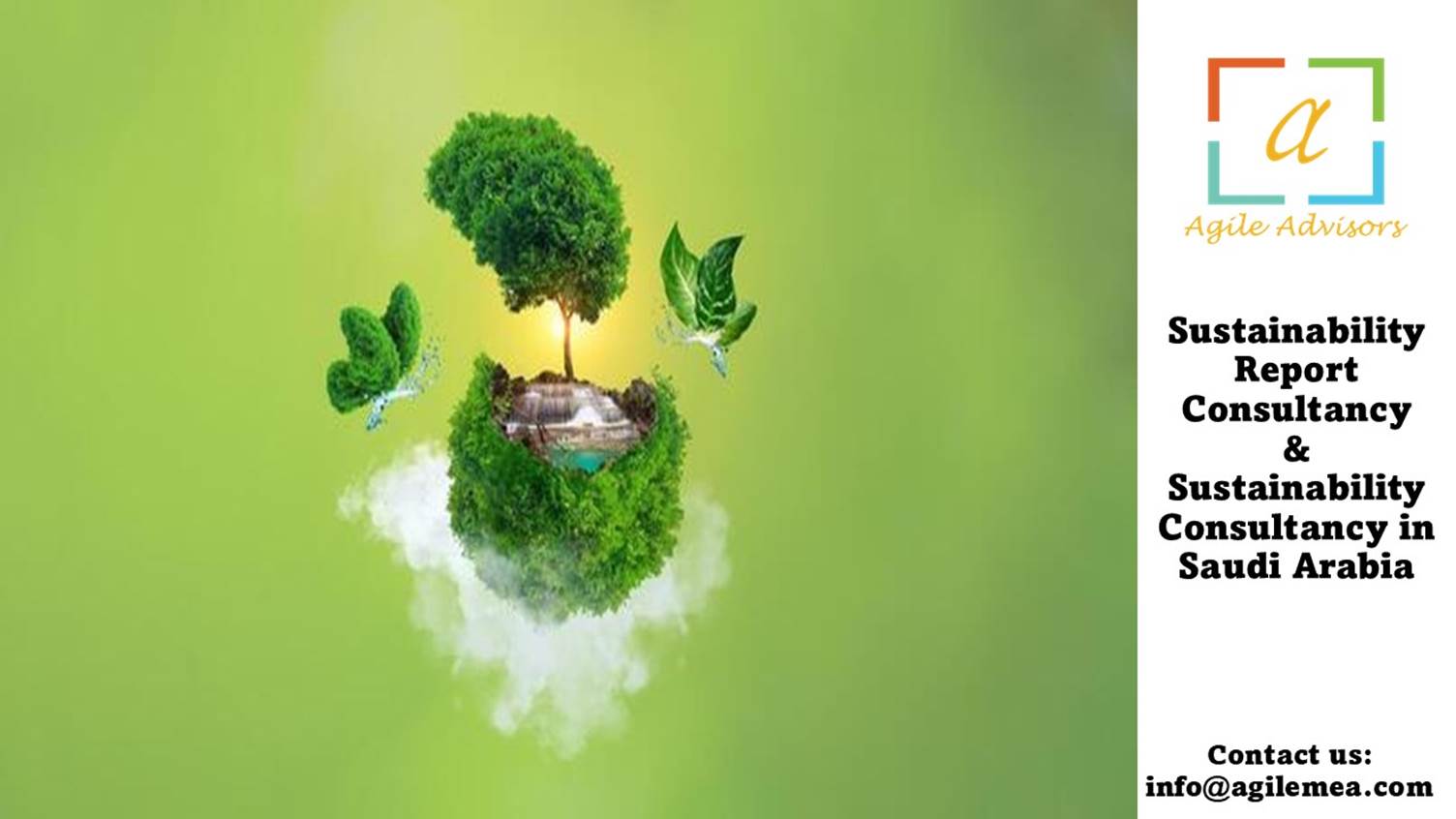 Sustainability report consultancy