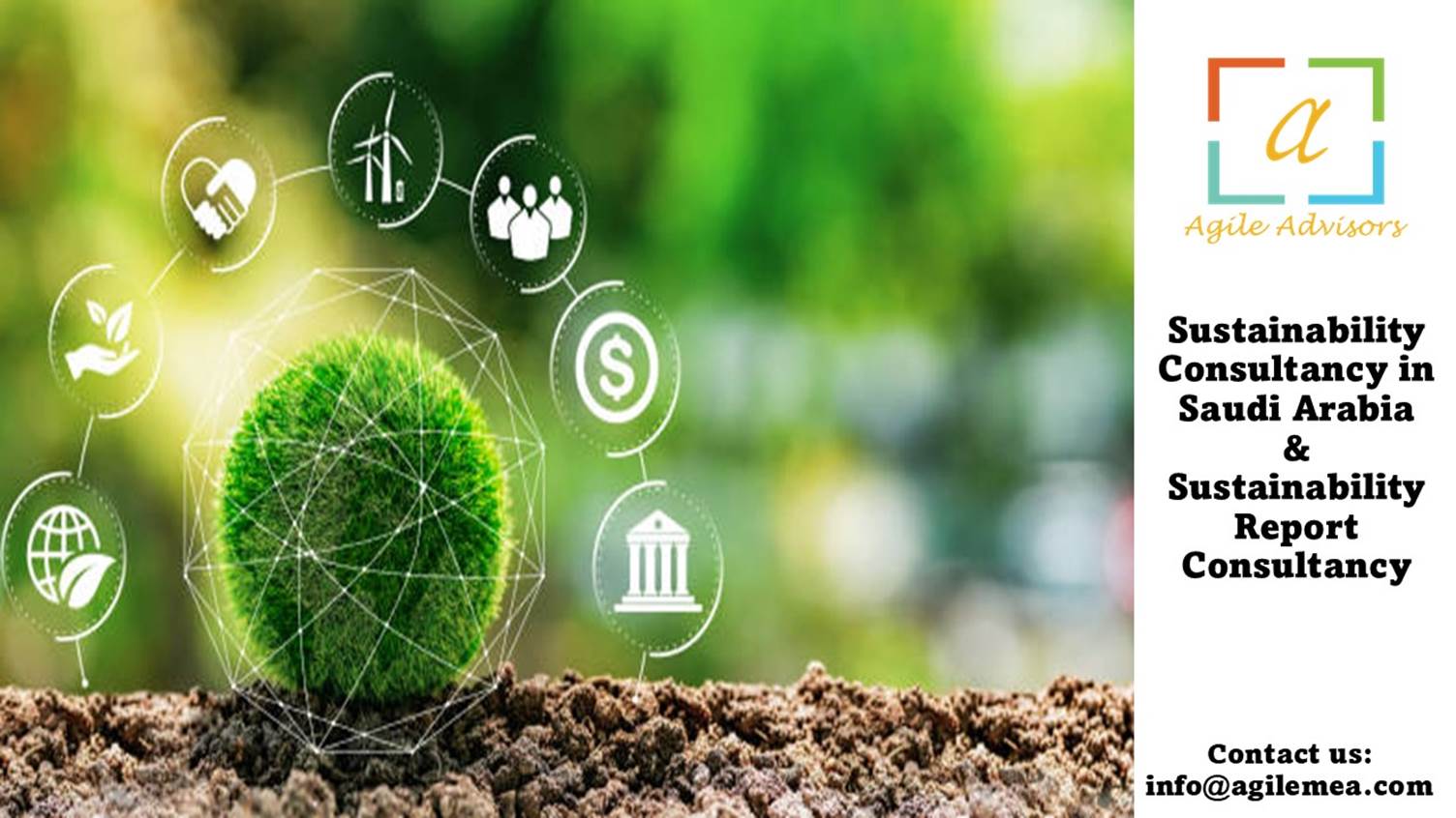Sustainability Report Consultancy