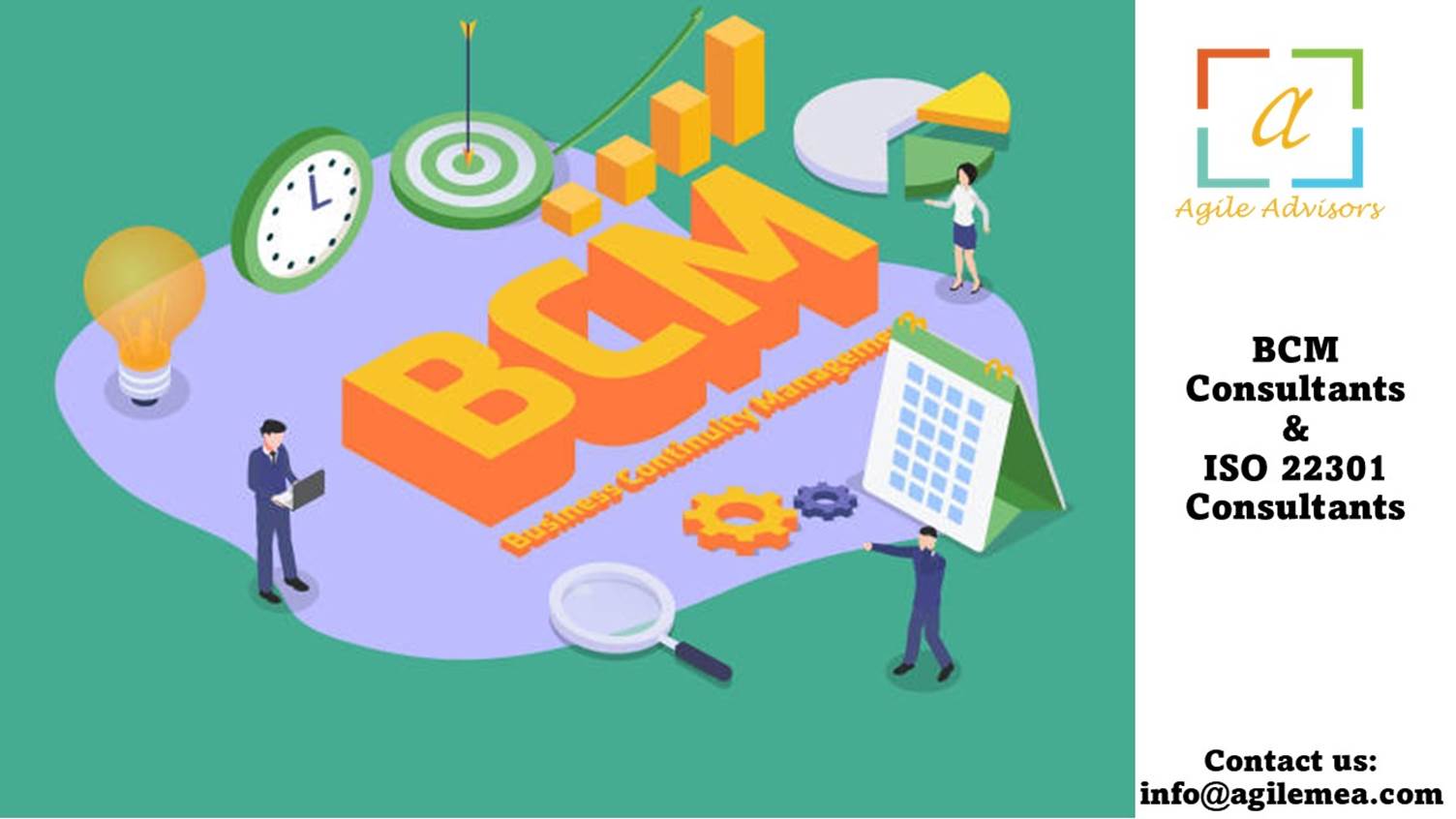 BCM Consultants