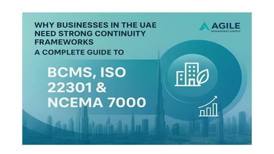 BCMS consultants in UAE