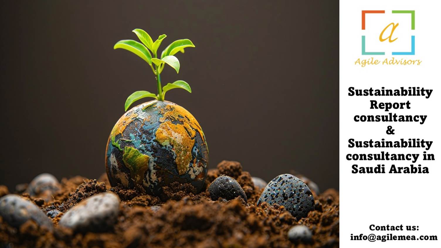 A small plant growing on a planetAI-generated content may be incorrect.