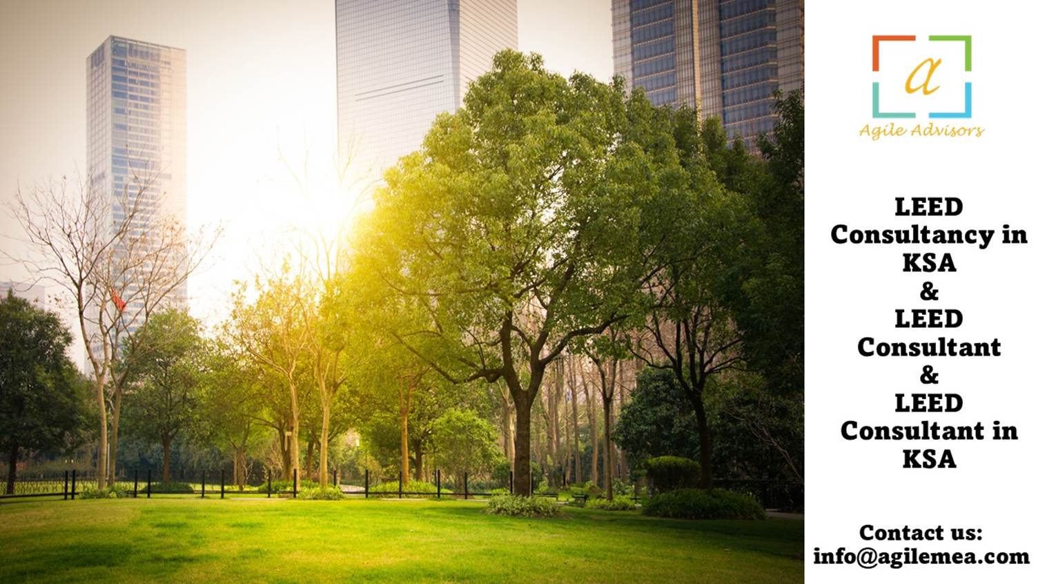 A green grass field with trees and buildings in the backgroundAI-generated content may be incorrect.