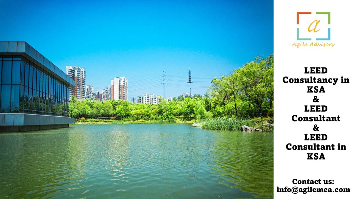 A body of water with trees and buildings in the backgroundAI-generated content may be incorrect.