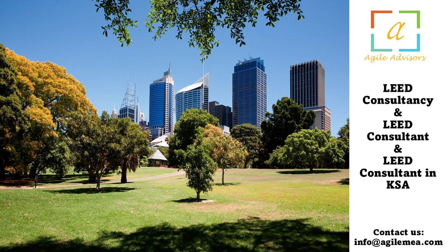 A park with trees and buildings in the backgroundAI-generated content may be incorrect.