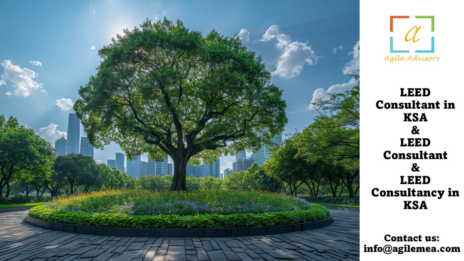 A tree in a parkAI-generated content may be incorrect.