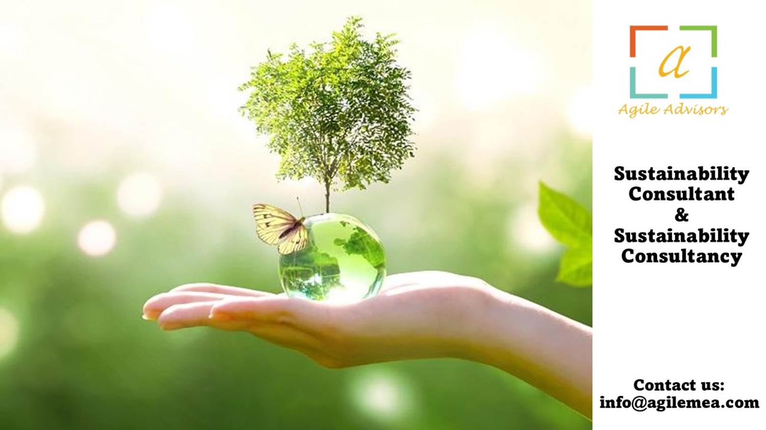 A hand holding a glass ball with a tree on itAI-generated content may be incorrect.