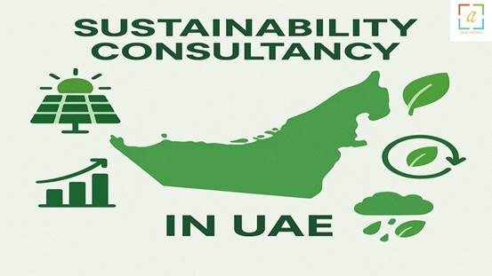 Trusted Sustainability Consultancy in UAE for Business Transformation