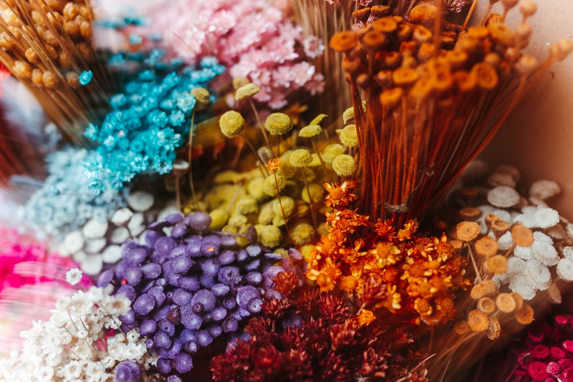 Dried Flower Colours Trending in the UK