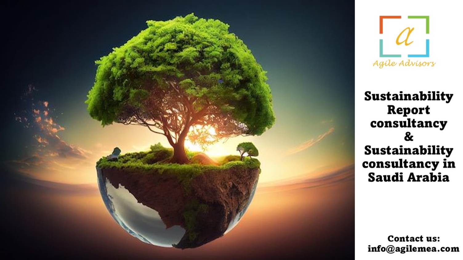 Sustainability Consultancy in Saudi Arabia