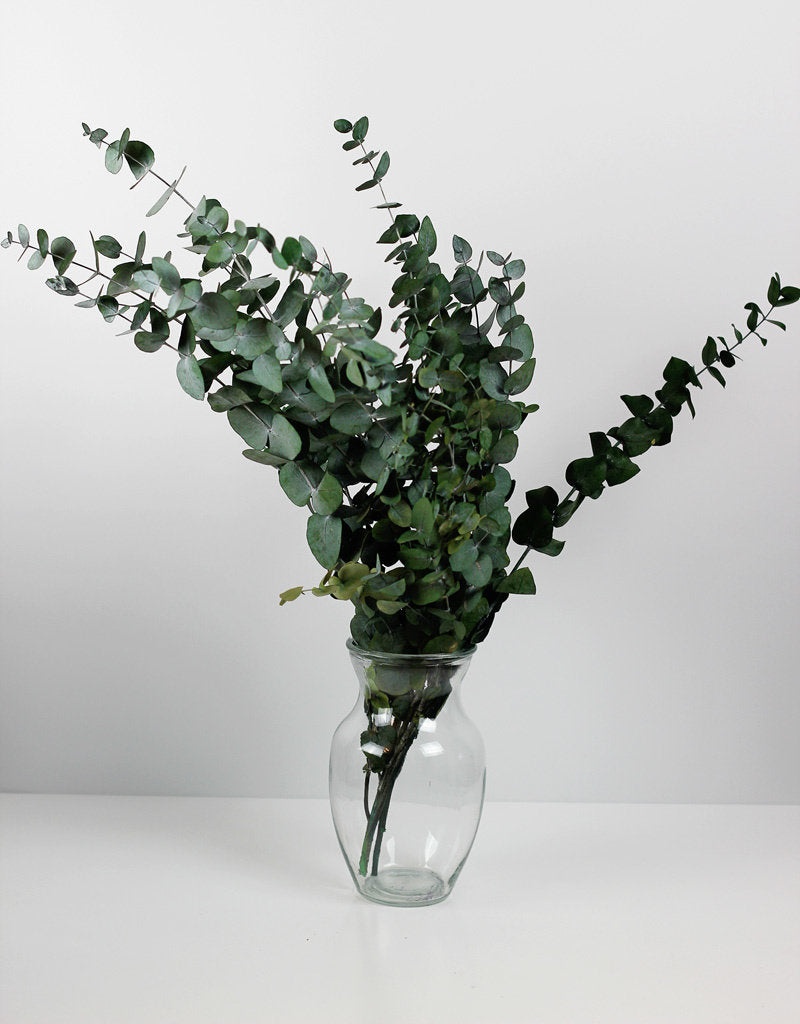 preserved-eucalyptus-espiral-green-bunch