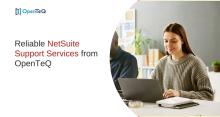 NetSuite Support Services