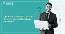 NetSuite Consulting Services