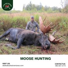 MOOSE HUNTING