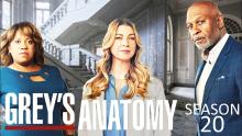 Grey's Anatomy Season 20