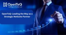 NetSuite Partner