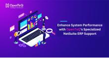 NetSuite ERP Support