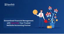 NetSuite Accounting Partner