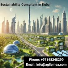 Expertise in Sustainability Consultant, Agile Advisors 