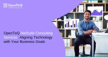 NetSuite Consulting Services