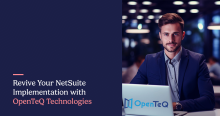 OpenTeQ’s NetSuite services provide the foundation for sustained growth. 