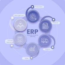 SAP ERP Software Jaipur