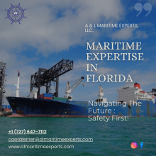 Maritime legal expert witness services