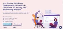WordPress Custom Development & Maintenance - TeknoFlair