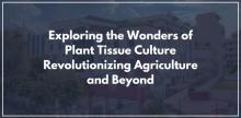 Exploring the Wonders of Plant Tissue Culture: Revolutionizing Agriculture and Beyond