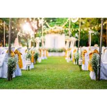 wedding planner in Tarn Taran