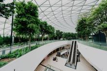 Looking for a Carbon Footprint Consultant in Oman? Agile Advisors helps businesses measure, reduce, and offset emissions to achieve sustainability, ESG compliance, and net-zero goals. Contact us today! 