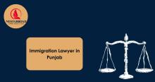  Immigration Lawyer in Punjab