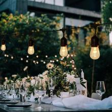 Vintage Bulb Strings Lights